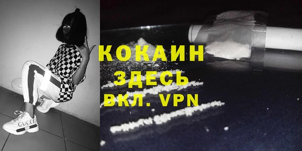 мдпв Няндома