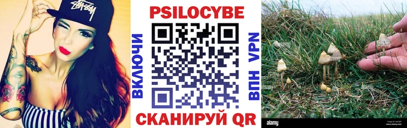 mega зеркало  наркотики  Приволжск  Галлюциногенные грибы Cubensis 
